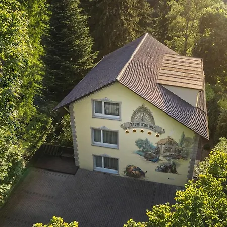 Aparthotel Voglergasse Baden-Baden Eksteriør billede